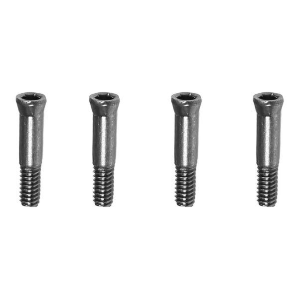 OSHM4X025 Screw M2x10.5mm